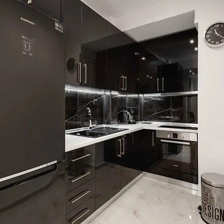 Appartement Monochrome Style 1bdrm Apt Close To City Center